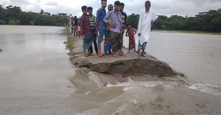 লক্ষ্মীপুরে জোয়ারের পানিতে মানুষের দুর্ভোগ, সড়ক বিচ্ছিন্ন