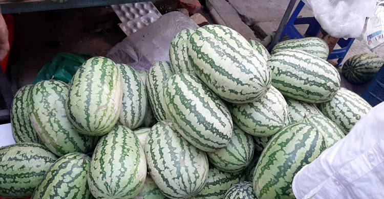 ৫০ টাকা কেজির নিচে মিলছে না তরমুজ