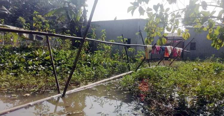 প্রভাবশালীদের দাপটে অর্ধযুগ ধরে পানিবন্দি শতাধিক পরিবার