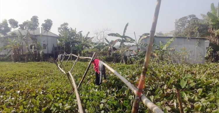 প্রভাবশালীদের দাপটে অর্ধযুগ ধরে পানিবন্দি শতাধিক পরিবার