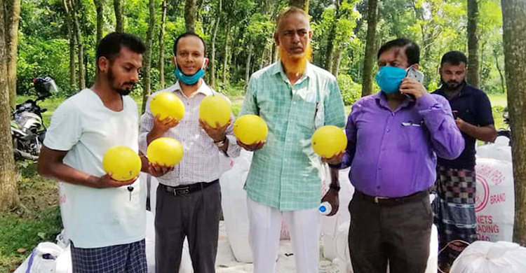সিভিল ইঞ্জিনিয়ারিংয়ে লেখাপড়া করে সফল তরমুজ চাষি
