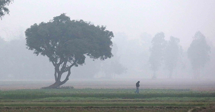 মঙ্গলবার থেকে তাপমাত্রা কমতে পারে