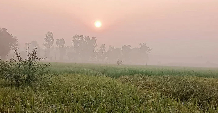 আরও বাড়তে পারে তাপমাত্রা