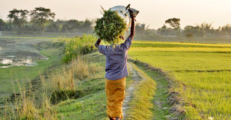 আবহাওয়ার খবর: ২৩ ফেব্রুয়ারি ২০২৩