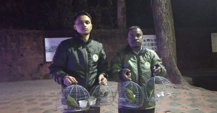 বাজার থেকে টিয়া-মুনিয়া পাখি উদ্ধার করে অবমুক্ত