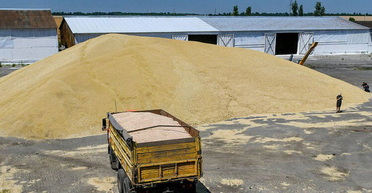 Is Russia exporting grain from Ukraine?