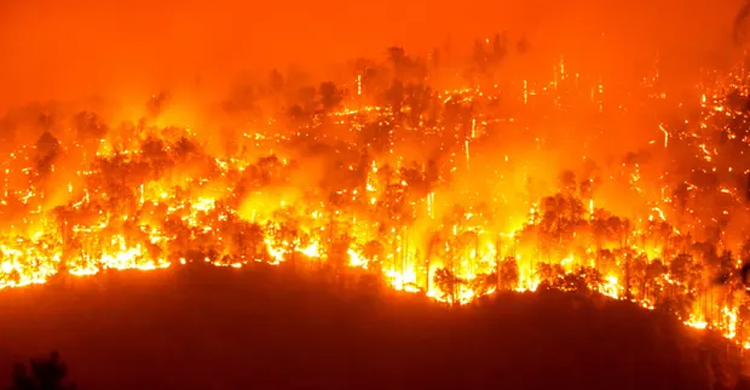 Wildfires likely to increase by a third by 2050, warns UN