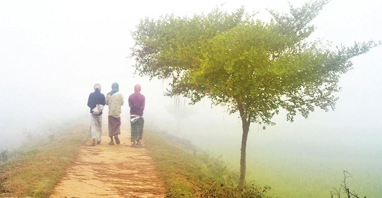 আবহাওয়ার খবর: ১০ ফেব্রুয়ারি ২০২৩