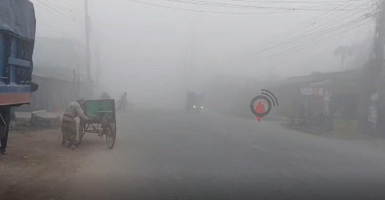 একদিন বিরতি দিয়ে চুয়াডাঙ্গায় চলছে শৈত্যপ্রবাহ