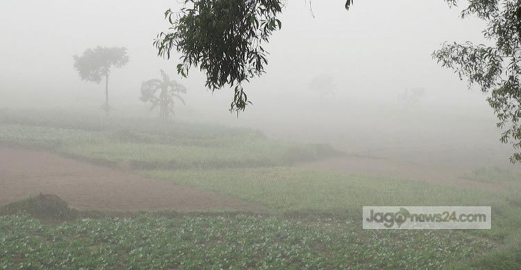 ৮ ডিগ্রিতে নামল তেঁতুলিয়ার তাপমাত্রা