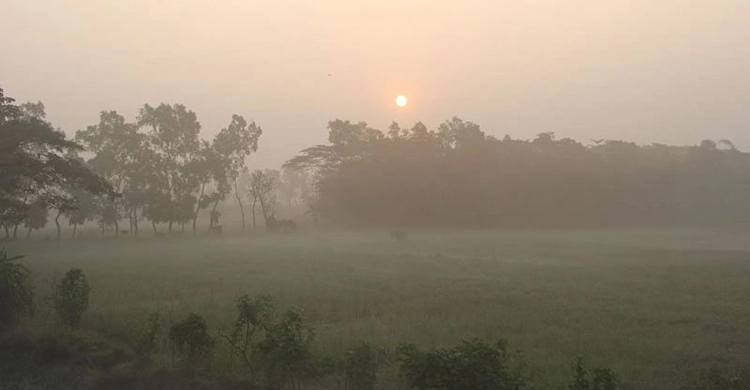 ১২ ডিগ্রির নিচে নামলো সর্বনিম্ন তাপমাত্রা