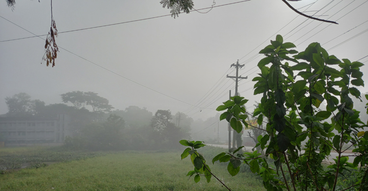 শীতে কাবু শ্রীমঙ্গল