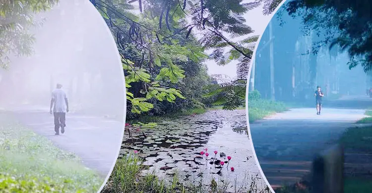 শীতের আগমনী বার্তা নিয়ে হাজির কুয়াশামাখা ভোর