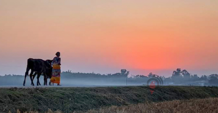শীতে কাবু ঠাকুরগাঁওয়ের জনজীবন