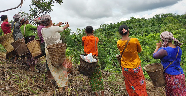 বনের পরিবেশ ফেরাতে বিশেষ পদ্ধতিতে গাছের বীজ ছিটালেন পাহাড়ি নারীরা