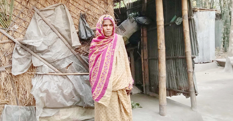 জরাজীর্ণ ঘরে অর্ধাহারে দিন কাটছে বৃদ্ধ আমের-আনোয়ারার