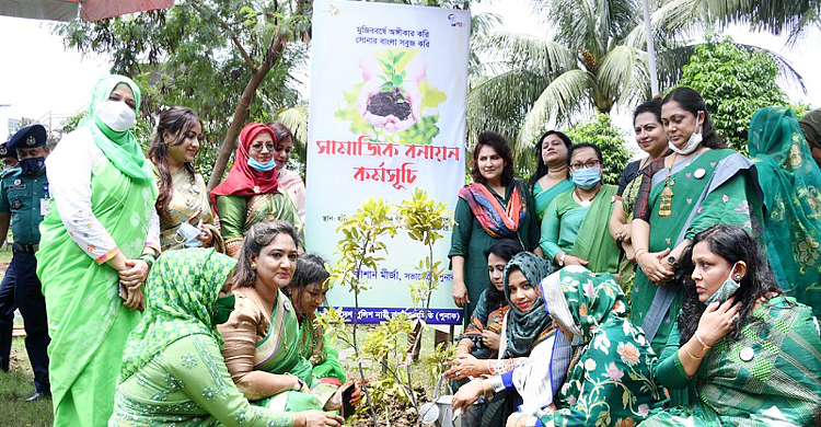 সবুজতর বাংলাদেশের প্রত্যাশায় পুনাকের বনায়ন কর্মসূচি