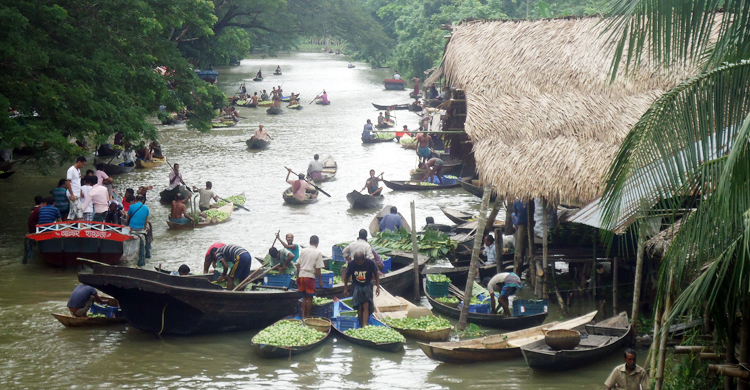ভরা মৌসুমেও বড় লোকসানে পেয়ারা চাষিরা