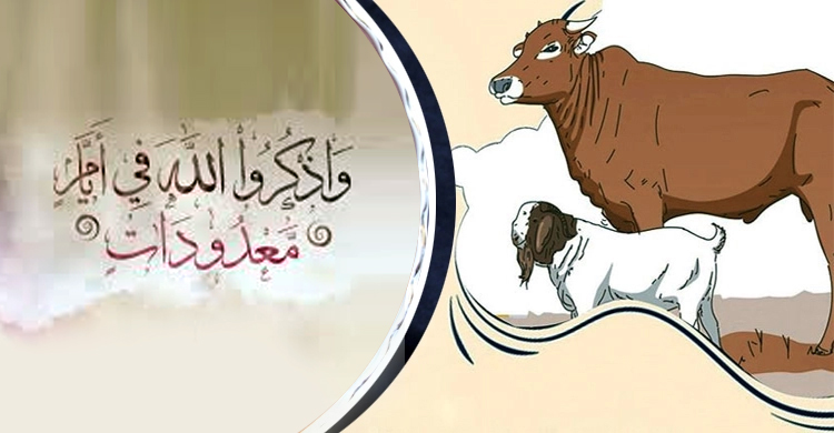পবিত্র কুরবানি ও জিলহজ মাসের ফজিলত