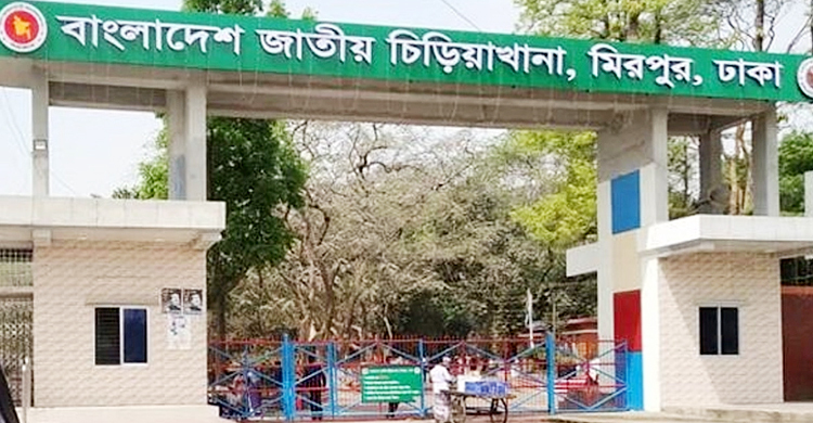 এক টিকিট দুবার বিক্রির অভিযোগ, চিড়িয়াখানায় অভিযানে দুদক