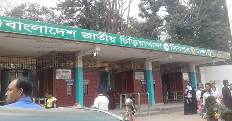 মার্চ পর্যন্ত মাসের প্রথম রোববার চিড়িয়াখানায় বিনামূল্যে প্রবেশ