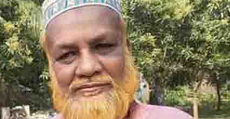 যুদ্ধাপরাধসহ অর্ধশত মামলার আসামি গ্রেফতার