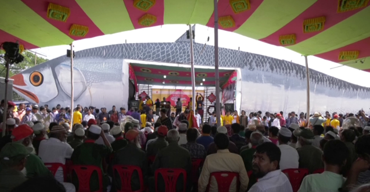 বিশ্বের বৃহত্তম ইলিশ উৎসব বরগুনায়