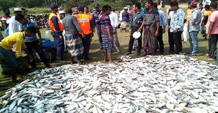 অভিযানের নামে জেলে ভাড়া করে ইলিশ ধরায় ৩ পুলিশ বরখাস্ত