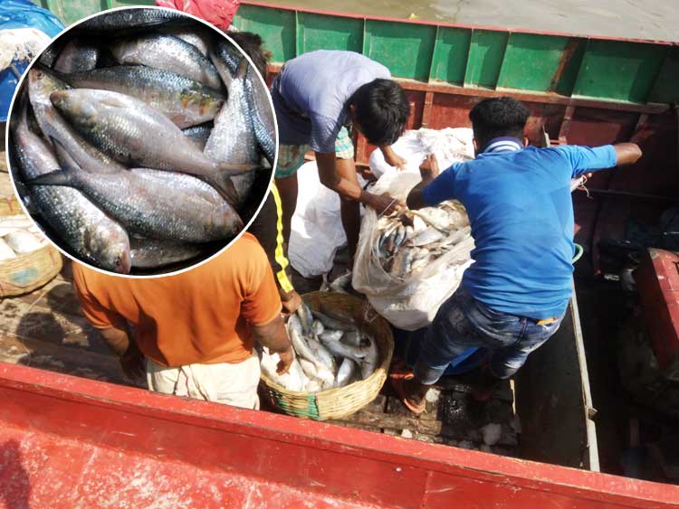 barishal-Elysh-Bikkini-Dhoo