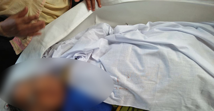 প্রাইভেটকারের ধাক্কায় প্রাণ গেল বৃদ্ধার