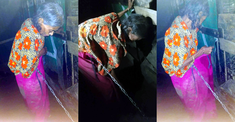 গোয়ালঘরে শিকলে বাঁধা বৃদ্ধা মা বললেন, মোর পোলারা ভালো