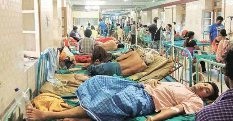 ২৪ ঘণ্টায় ডেঙ্গু আক্রান্ত ৩০০ জন