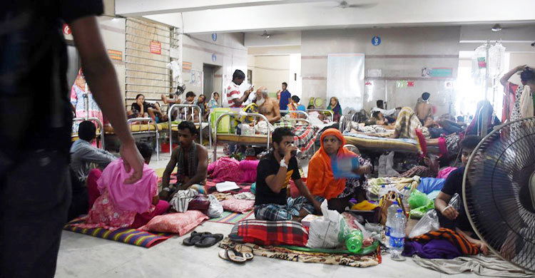 ২৪ ঘণ্টায় হাসপাতালে ২১৭ ডেঙ্গু রোগী