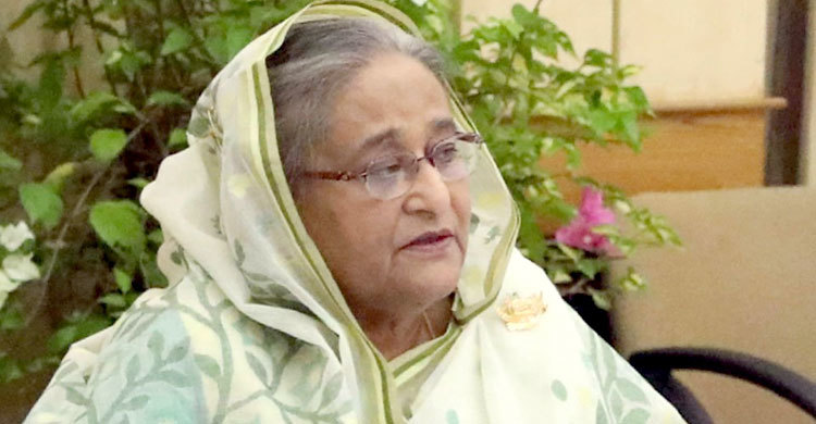 বোরহানউদ্দিনে মানুষকে সমবেত করার পেছনে উদ্দেশ্য কী?