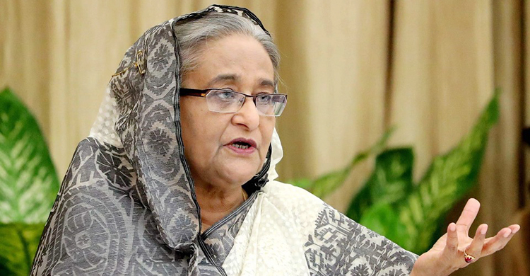 ভারতকে সামান্য পানি দিচ্ছি, এতে হইচই করার কী আছে?