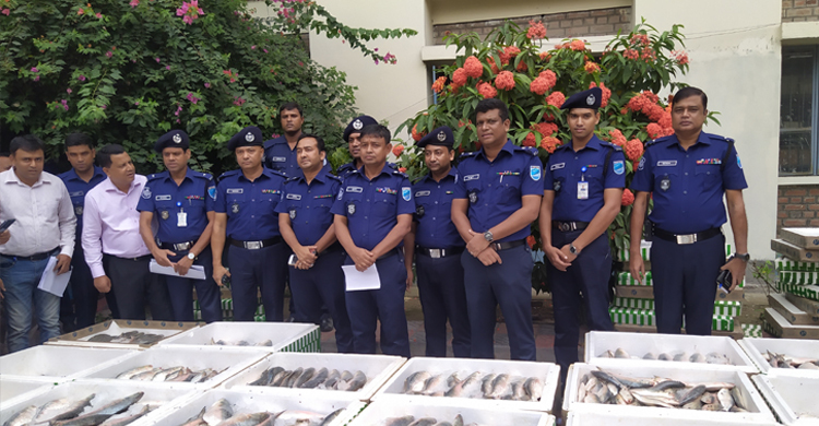 ১৫ মণ মা-ইলিশসহ আটক ৩৯