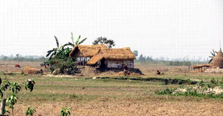 কার্ড দেয়ার নামে বিধবাকে ধর্ষণ, বিচার না পেয়ে আত্মহত্যা