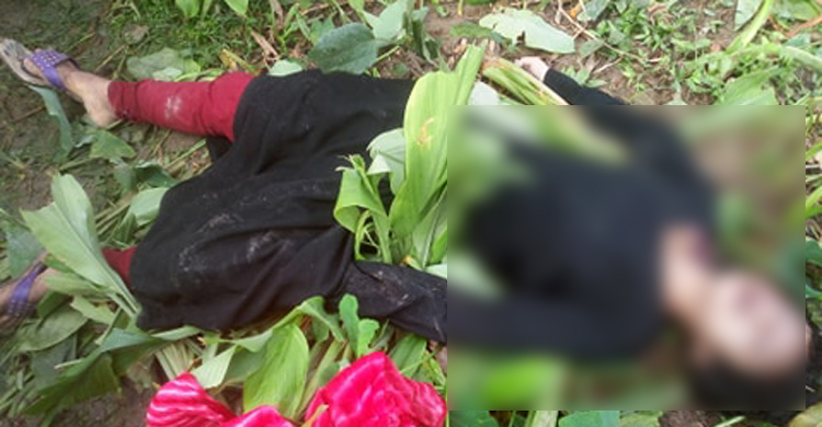 তরুণীকে হত্যার পর ধানক্ষেতে ফেলে গেল দুর্বৃত্তরা