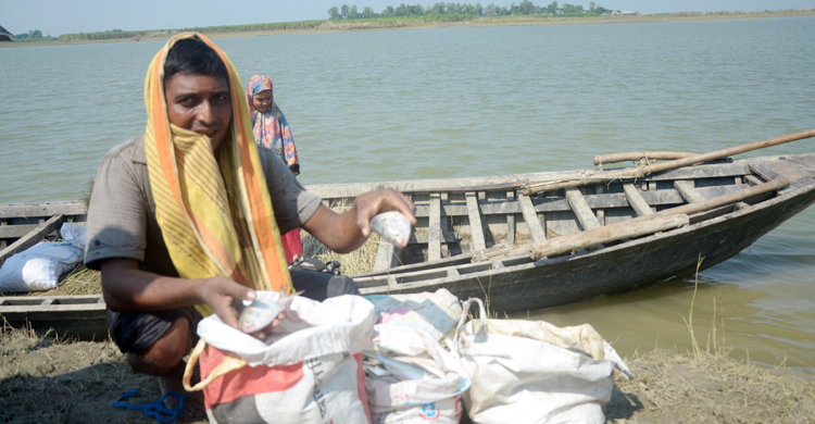 পদ্মায় মা ইলিশ ধরার মহোৎসব