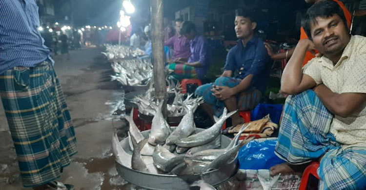 মেঘনায় ঝাঁকে ঝাঁকে ধরা পড়ছে ডিমওয়ালা ইলিশ