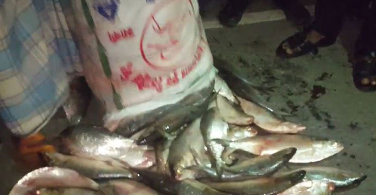 3 cops suspended for transporting mother Hilsa