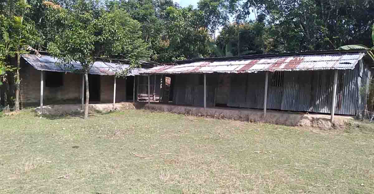 Naogaon-School