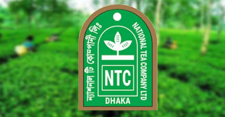 ন্যাশনাল টি’র লভ্যাংশ অপরিবর্তিত