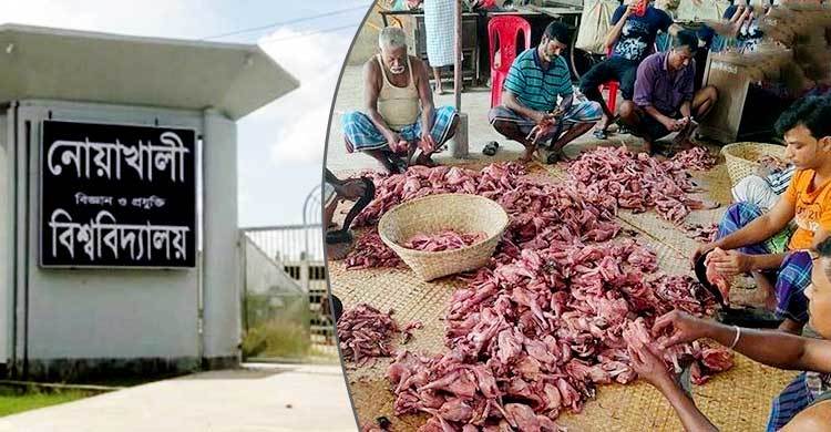 ৭০ হাজার ভর্তিচ্ছুর জন্য বিনামূল্যে থাকা-খাওয়ার ব্যবস্থা