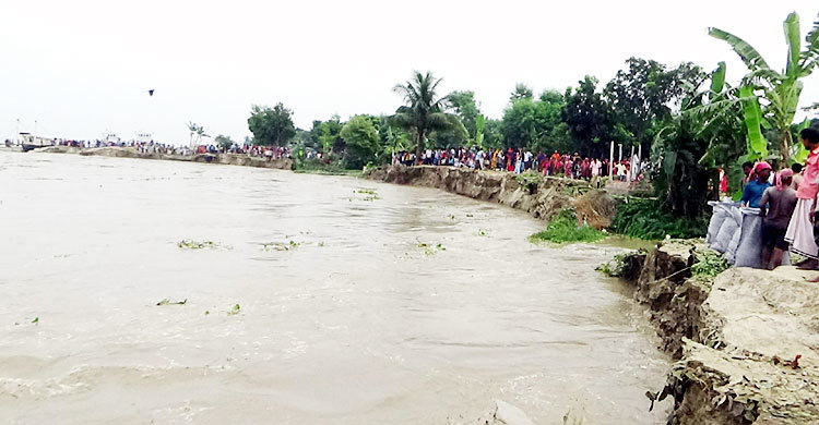 পদ্মার এমন ভয়াবহ স্রোত আগে দেখেনি কেউ