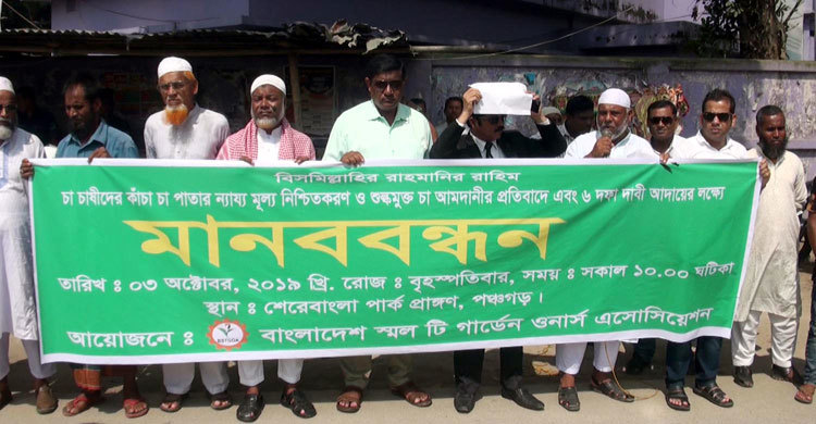 চা-পাতার কেজি ১২ টাকা, মূল্য বৃদ্ধির দাবি চাষিদের