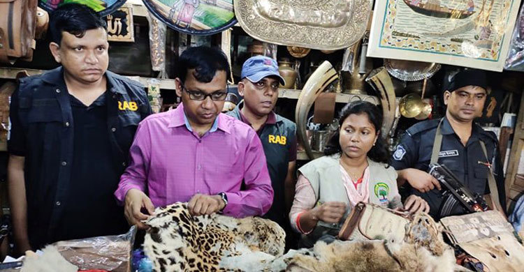 বন্যপ্রাণীর চামড়া বিক্রির অপরাধে দুই ব্যবসায়ীর জেল