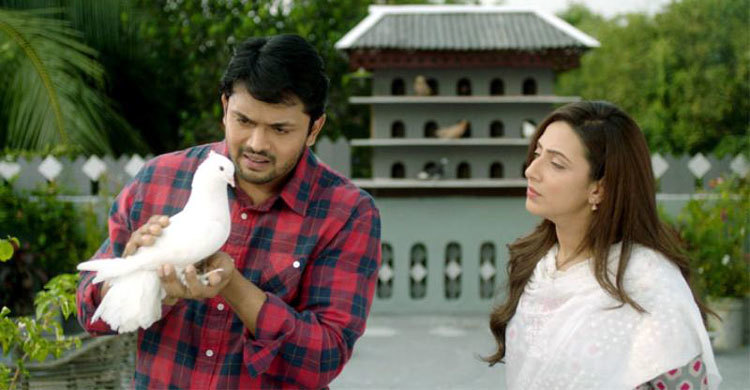 দেশ মাতিয়ে বিশ্বের ৭ দেশে মুক্তি পাচ্ছে ‘সাপলুডু’