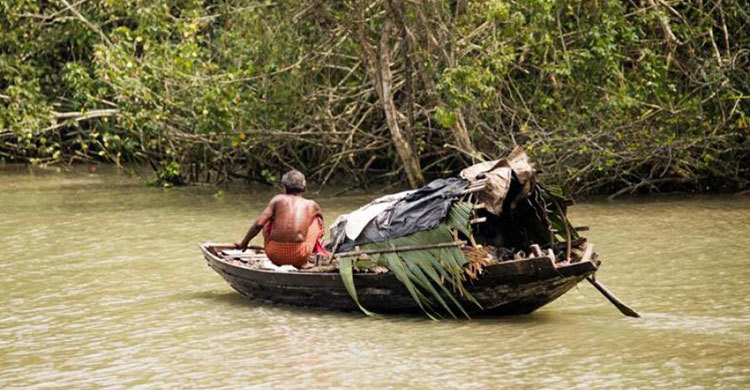 সুন্দরবনে মাছ ধরার সময় চার জেলে আটক