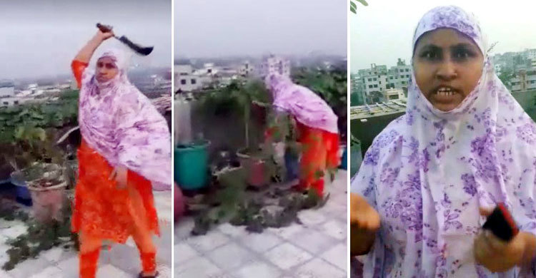 ছাদ বাগানের গাছ কেটে বিতর্কিত নারী